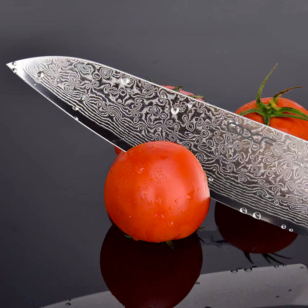 67 Layers VG-10 Damascus Steel 8 inch Professional Chef Knife With Gift Box