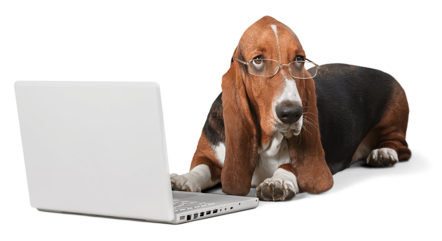 Doggo Computer Pet Gadgets